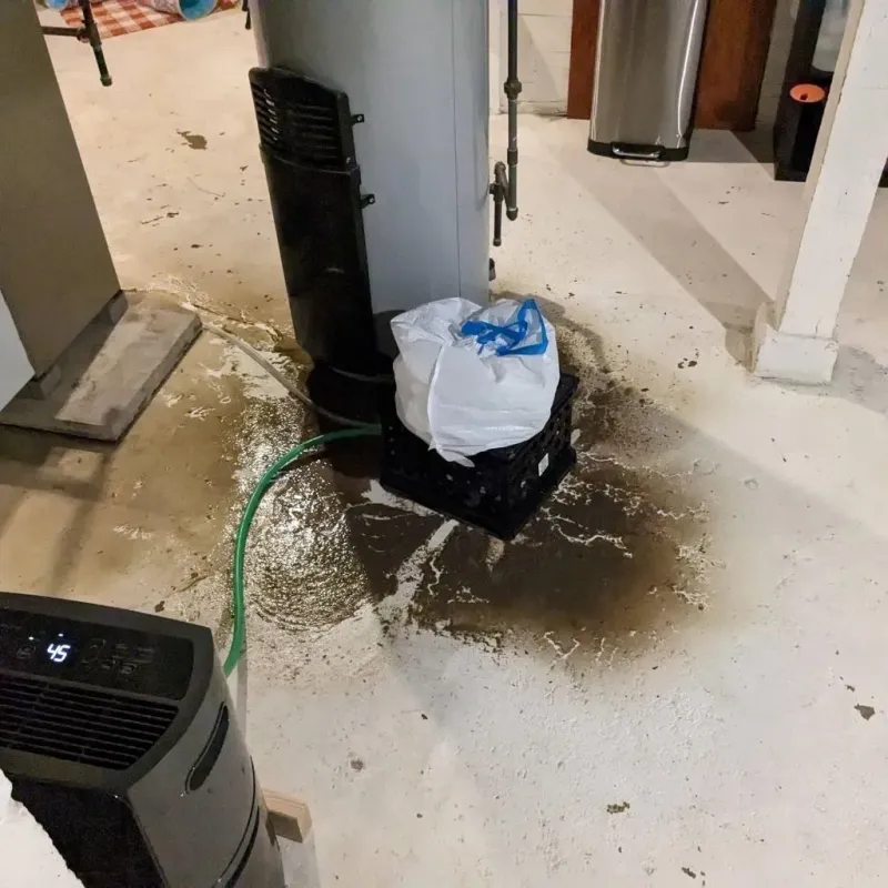 Sewage Backup Cleanup Service in Aptos Hills-Larkin Valley, CA